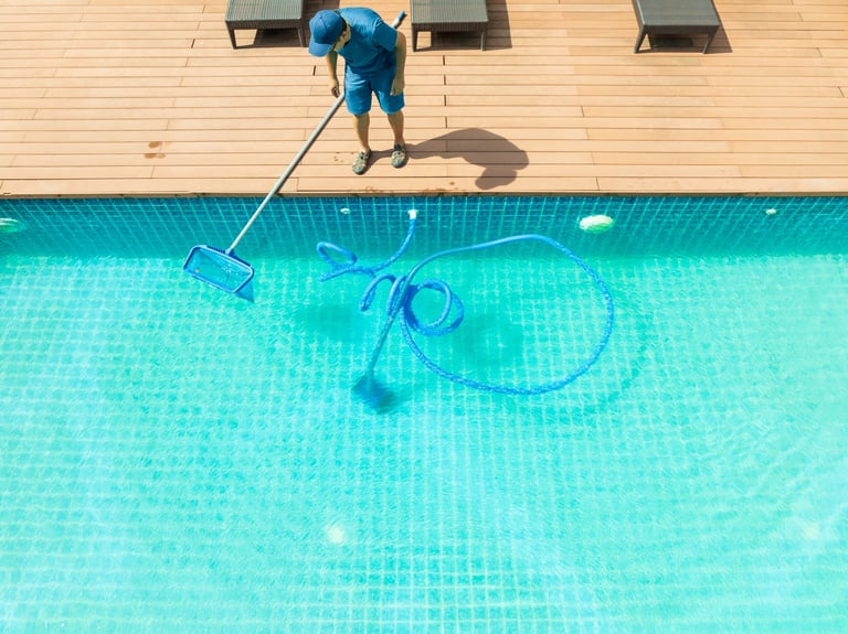 Pool maintenance with automatic cleaner and net